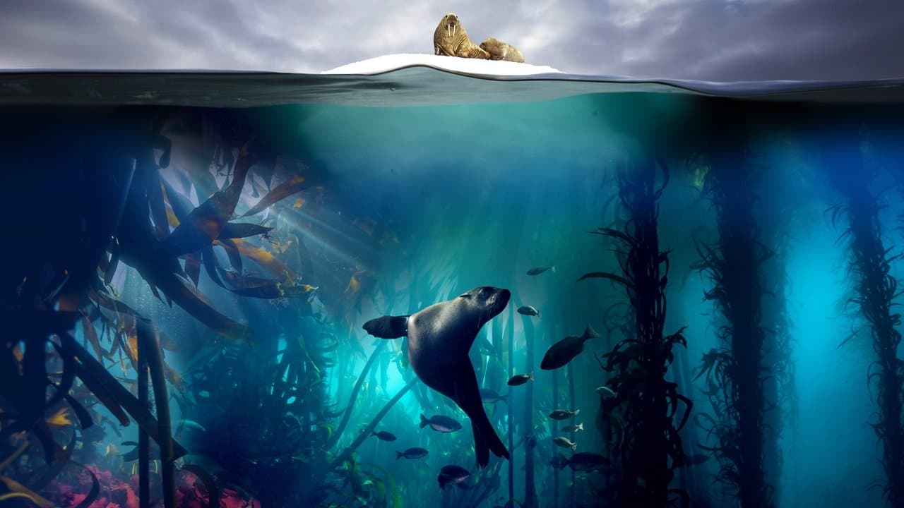 Blue Planet II background backdrop on NexFlixy