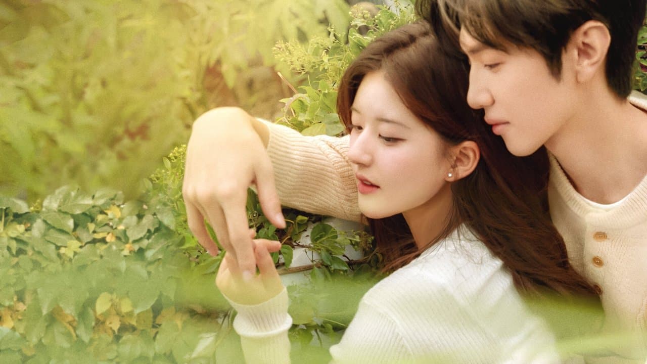 Hidden Love background backdrop on NexFlixy