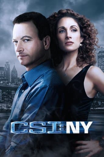 CSI: NY official poster on NexFlixy
