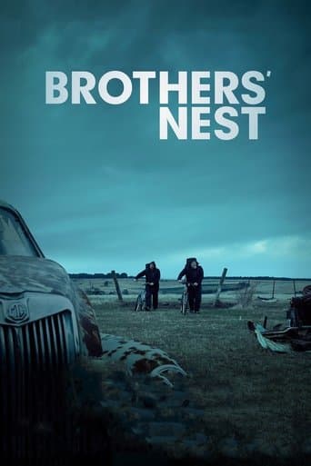 Brothers' Nest official poster on NexFlixy
