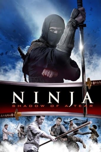 Ninja: Shadow of a Tear official poster on NexFlixy