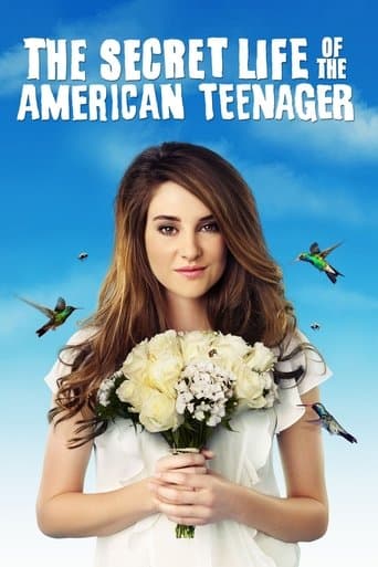 The Secret Life of the American Teenager official poster on NexFlixy