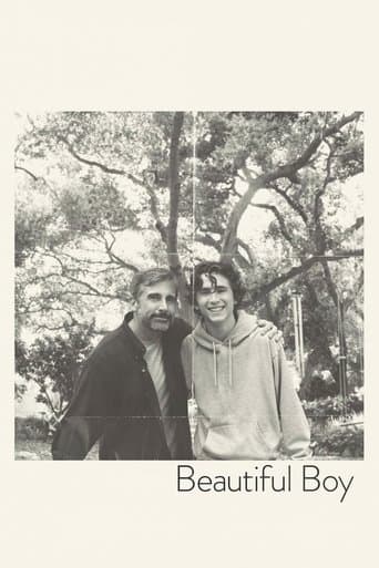 Beautiful Boy official poster on NexFlixy