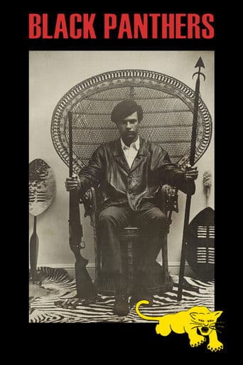 Black Panthers official poster on NexFlixy