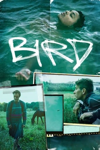 Bird official poster on NexFlixy