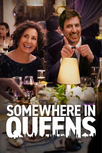 Somewhere in Queens official poster on NexFlixy