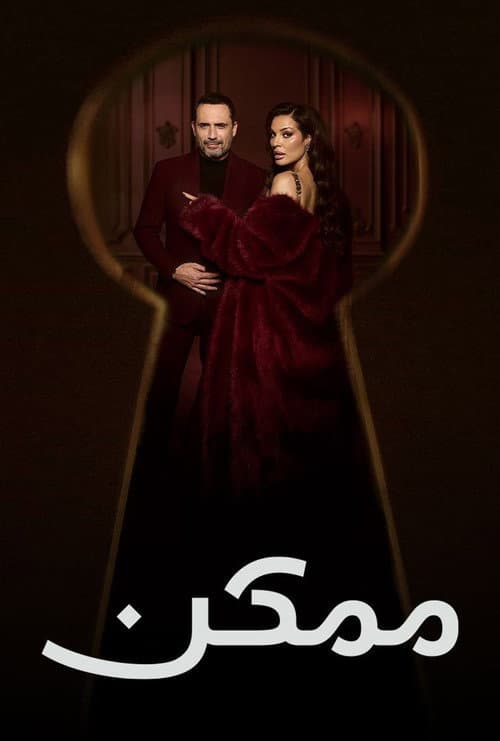 Maybe official TV series poster