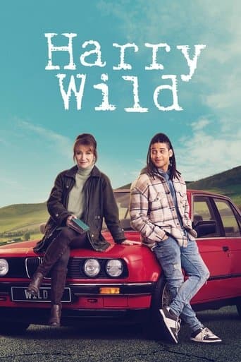 Harry Wild official poster on NexFlixy
