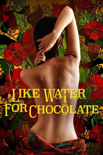 Like Water for Chocolate official poster on NexFlixy