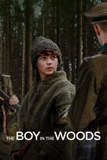 The Boy in the Woods official poster on NexFlixy