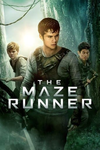 The Maze Runner official poster on NexFlixy